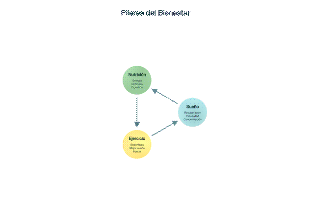 Los Tres Pilares Interconectados del Bienestar: Sueño, Nutrición y Ejercicio